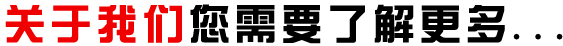 公司簡介